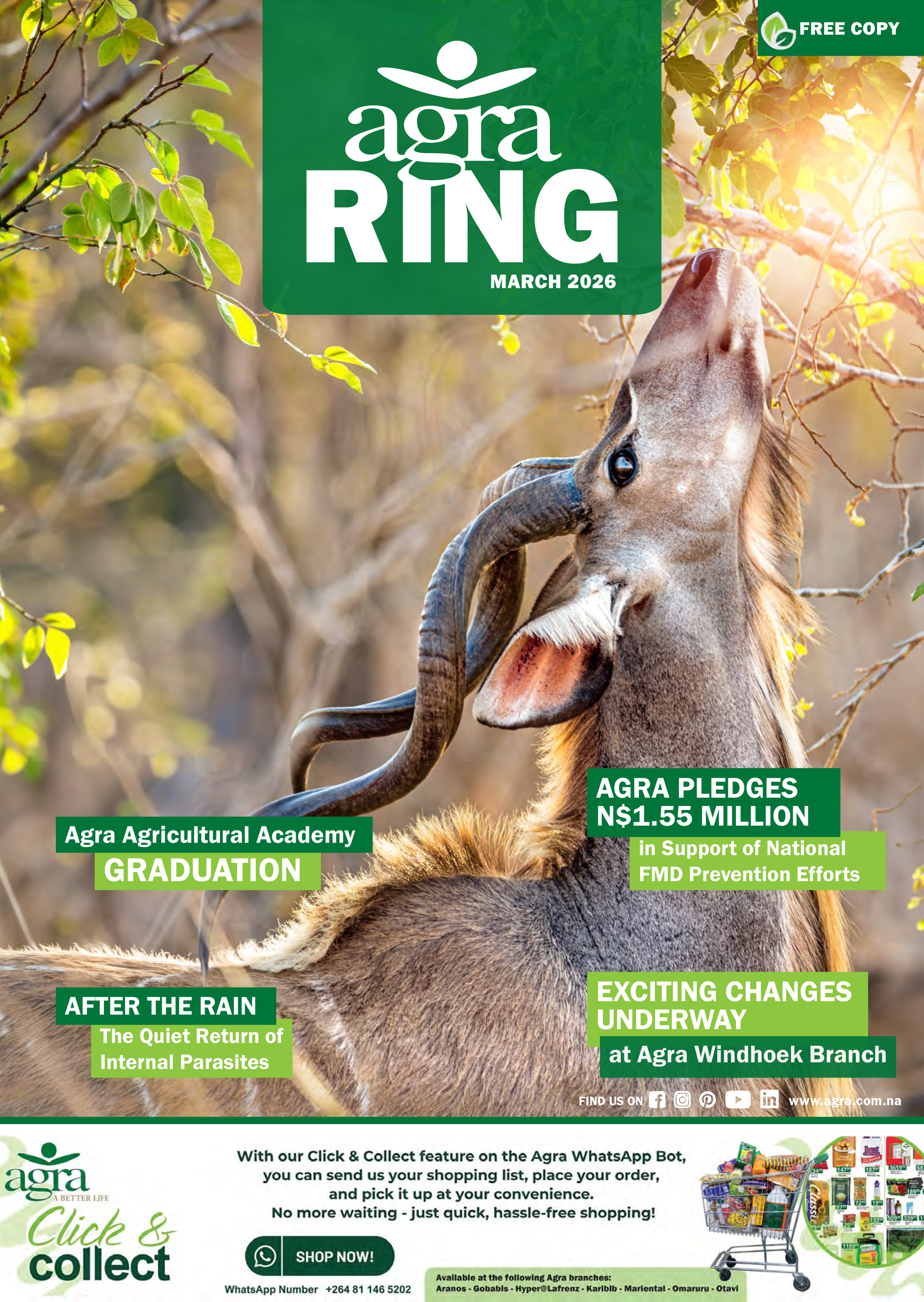 2026_March_Ring Agra Ring Magazine - Agra Namibia