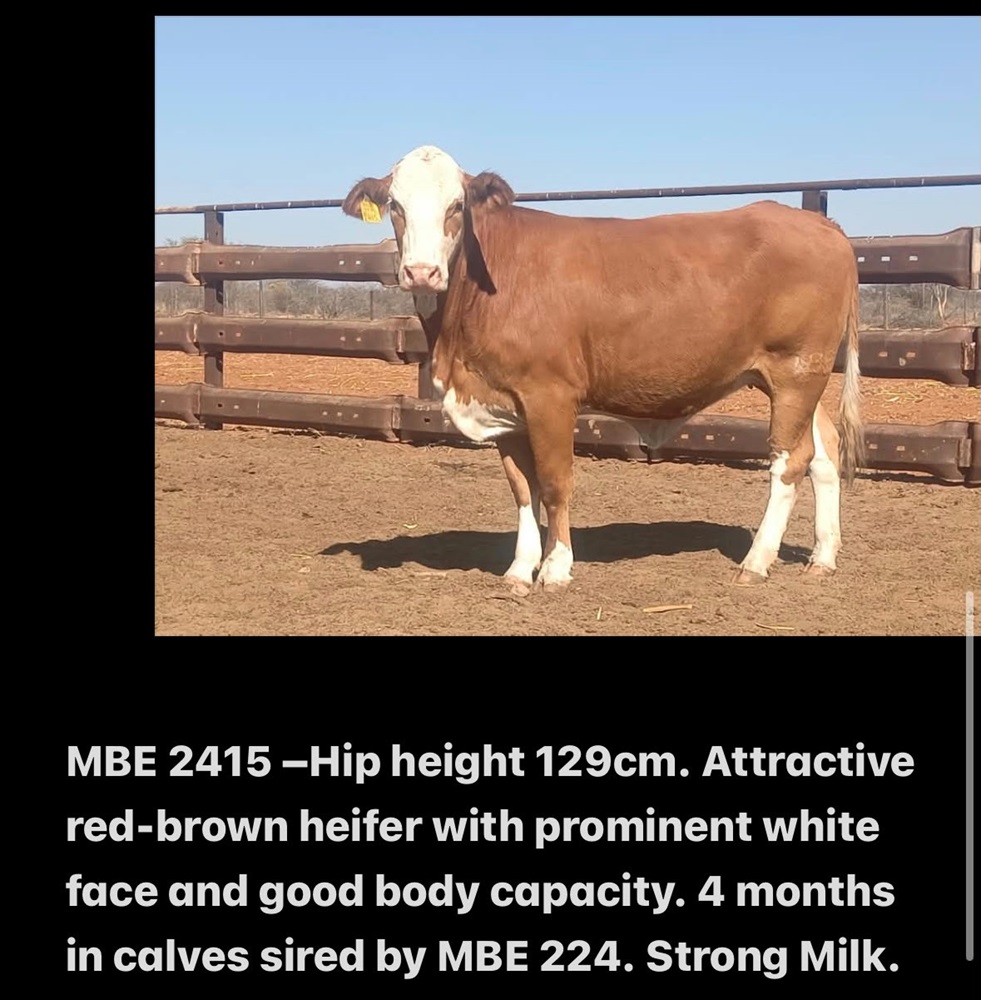 MBE2415