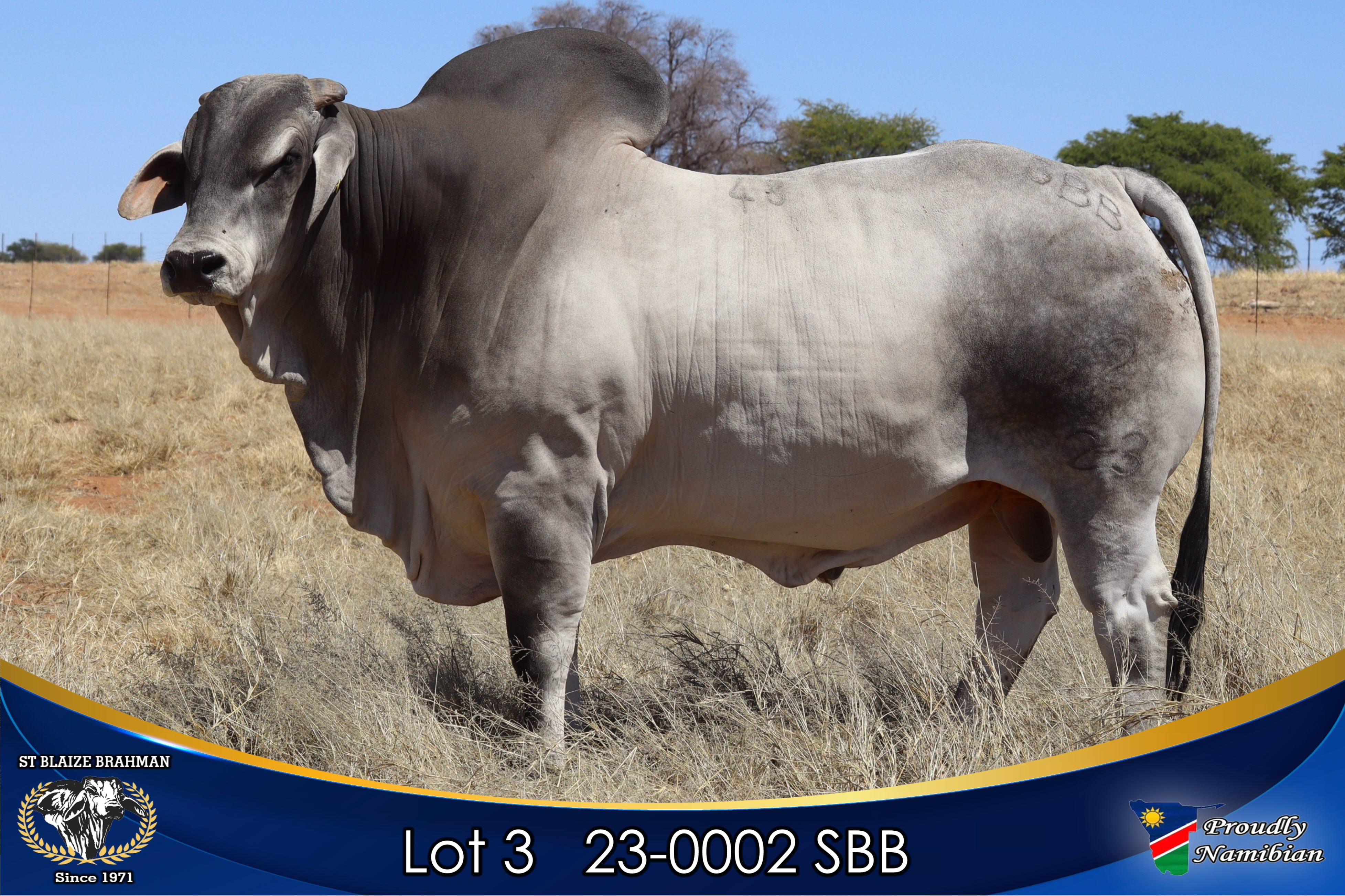 LOT 3