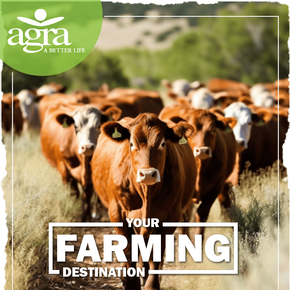 2023_Jun_FarmingInsert image FARMING PRODUCTS HIGHLIGHTS