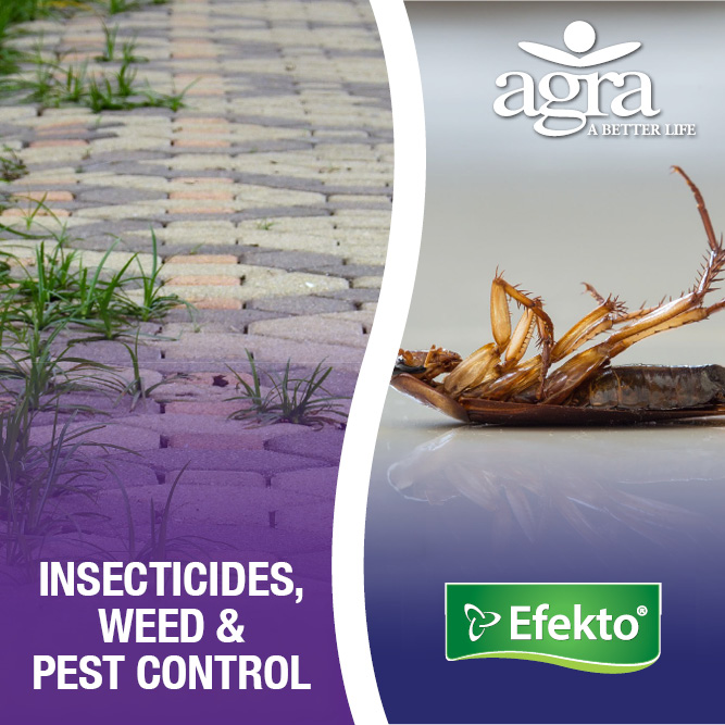 EFEKTO PRODUCT GUIDE