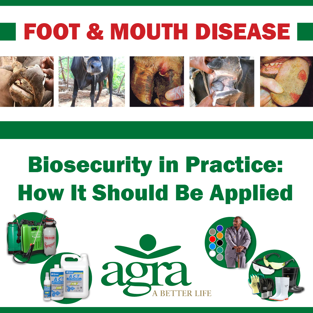 FMD: Biosecurity in Practice